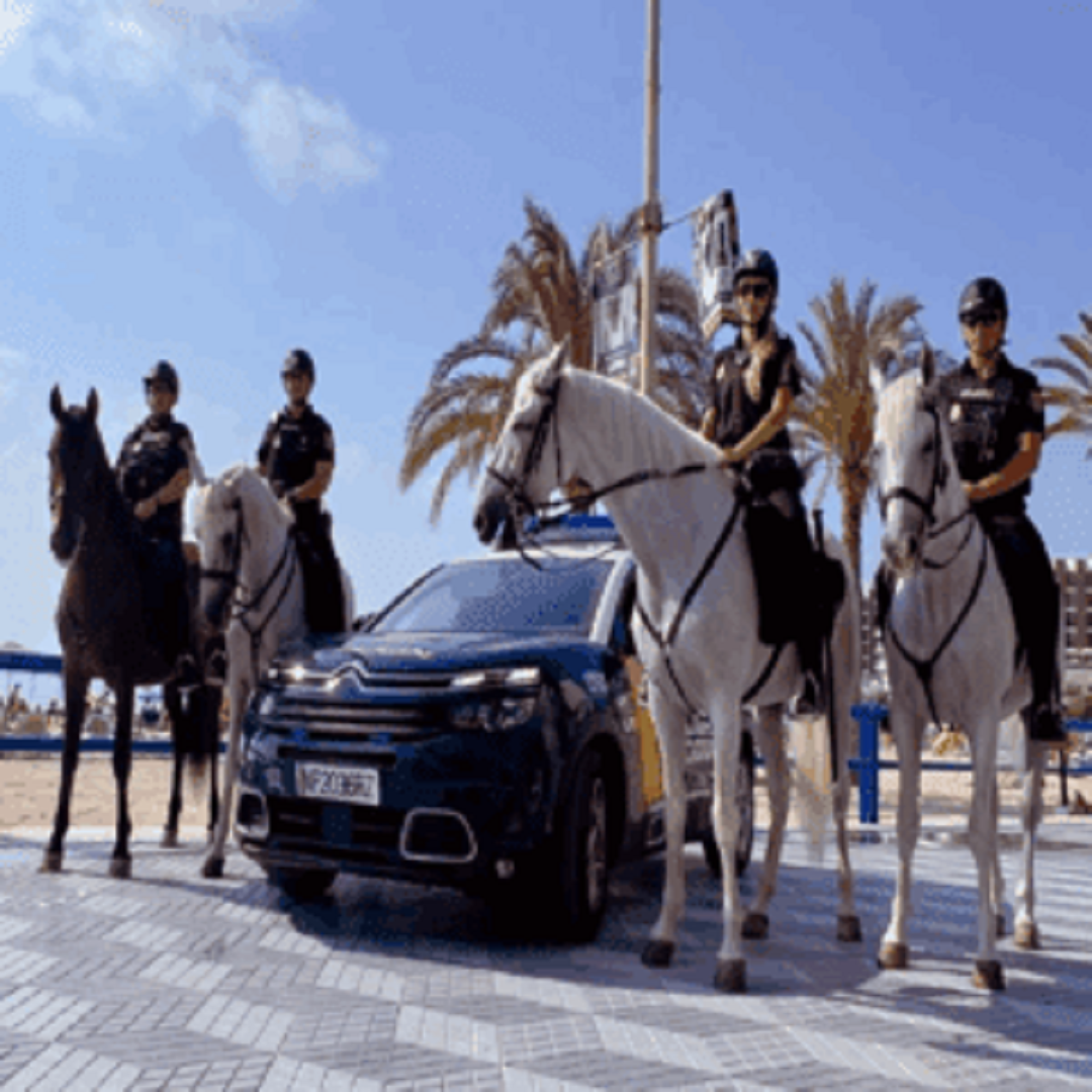 Blog Policia Nacional - Formación para opositores de Policía Nacional y Guardia Civil | Academia Centro 12 Academia Centro en Alicante, formación para oposiciones de Policía Nacional y Guardia Civil, acceso físico y temario para preparación